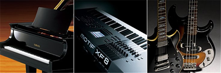 太阳成集团tyc1050乐器