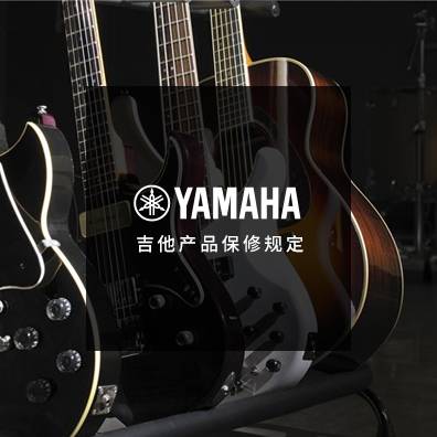 吉他、贝斯和音箱