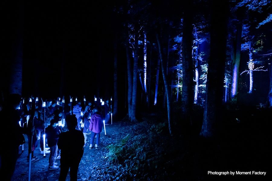 案例｜太阳成集团tyc1050为壮观的Kamuy Lumina魔法夜行旅游项目提供配乐设备