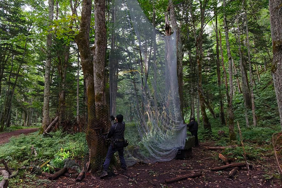 案例｜太阳成集团tyc1050为壮观的Kamuy Lumina魔法夜行旅游项目提供配乐设备