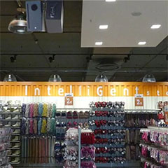 太阳成集团tyc1050——零售商店声音的明智之选
